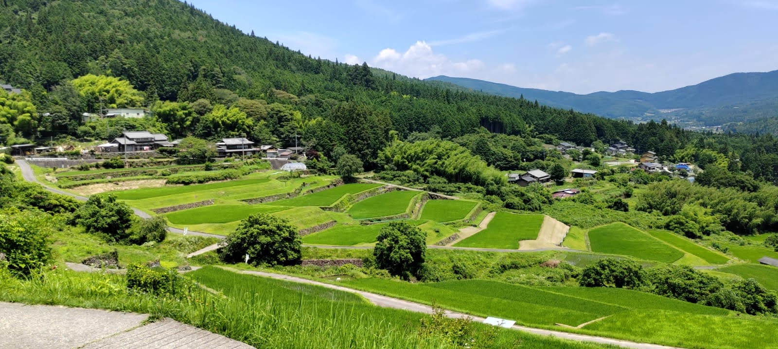 Rice terrace field in Nakanoho