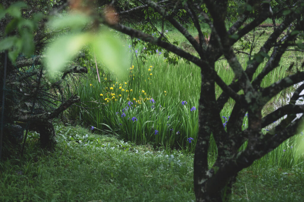 Guesthouse Kannagara -Garden Farmstay Ena Gifu picture
