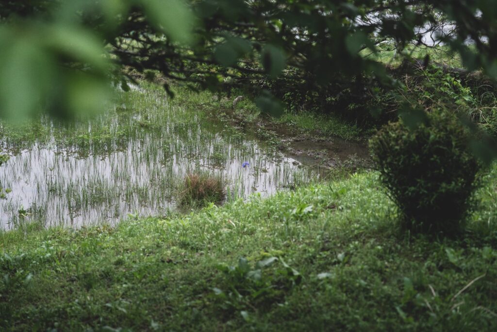 Guesthouse Kannagara -Garden Farmstay Ena Gifu picture