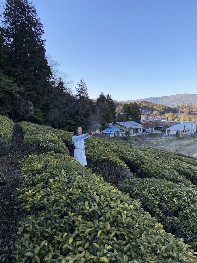 Guesthouse Omusubi Nakatsugawa Ownerin the Tea field