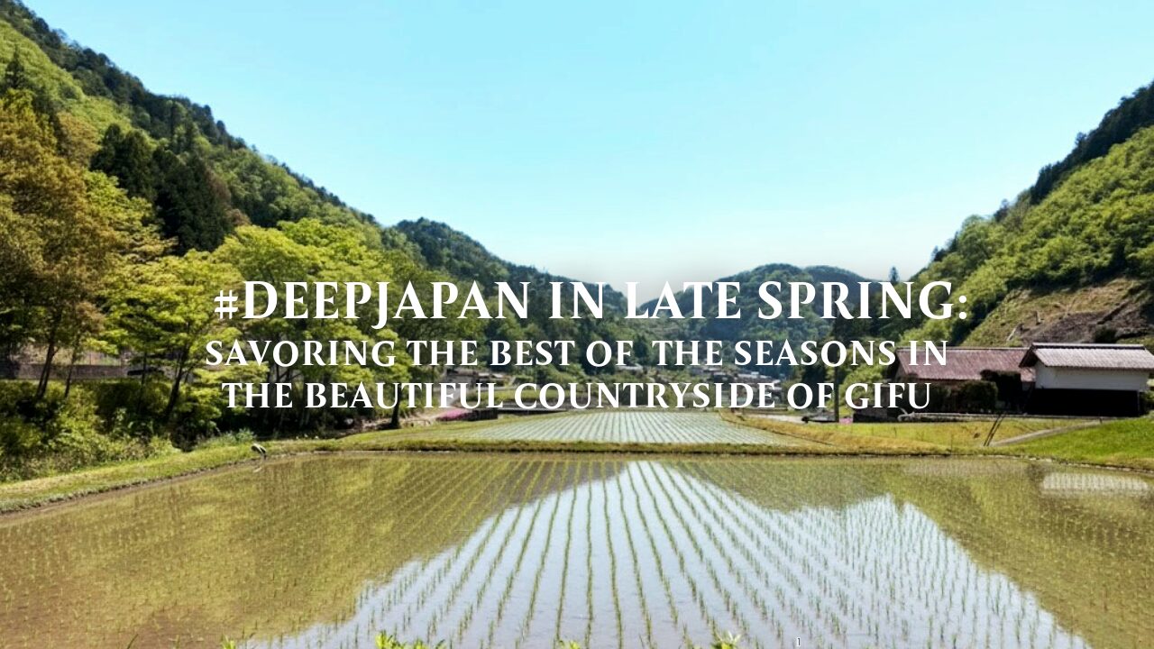 #DEEPJAPAN IN LATE SPRING: SAVORING THE BEST OF THE SEASONS IN THE BEAUTIFUL COUNTRYSIDE OF GIFU ricefield picture
