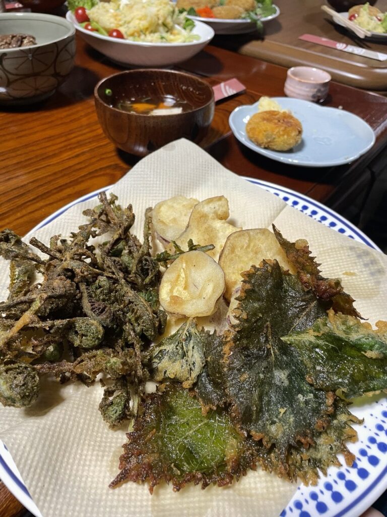 天ぷら tempra - Local cuisine, rural Japan GIFU