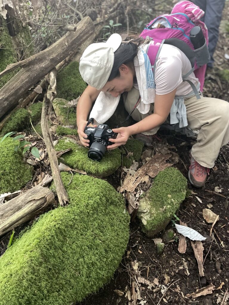 A Japanese woman photographing moss in Gifu, a rural area of Japan
