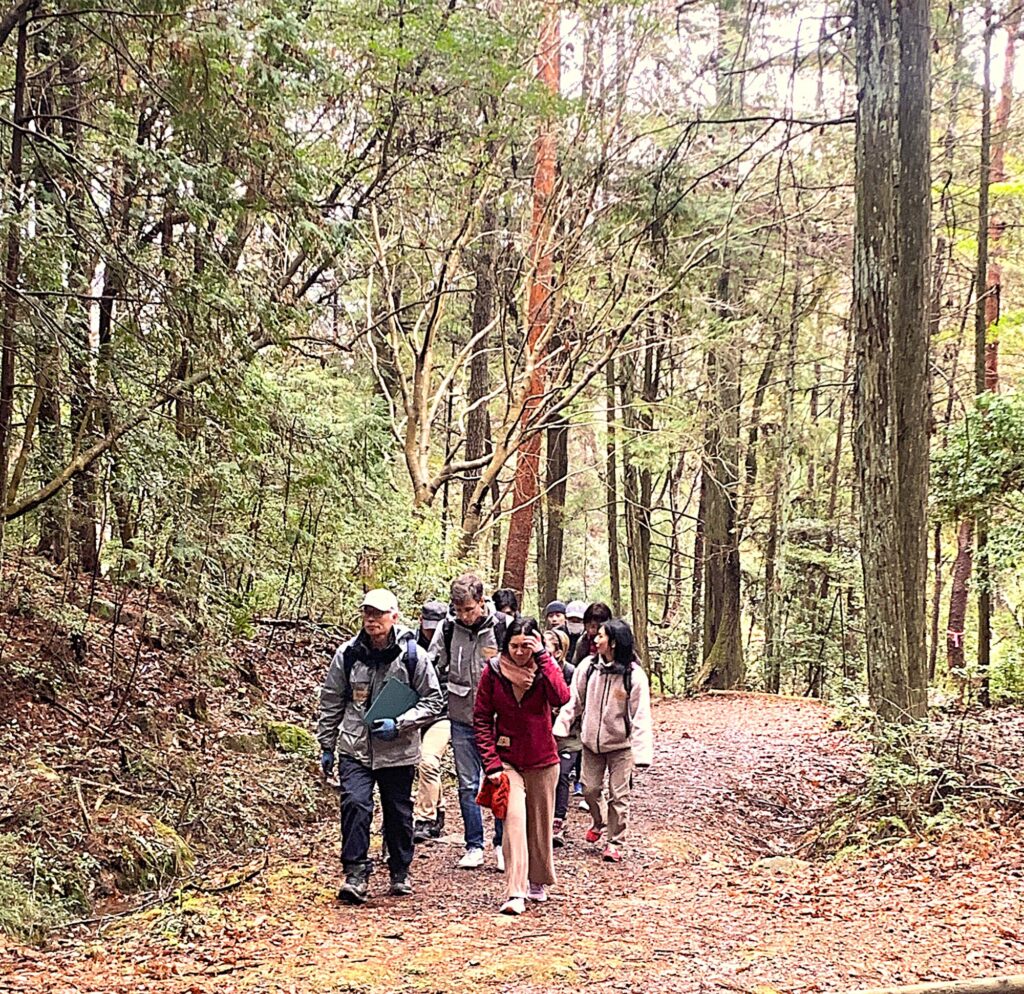 walking in the forest in rural japan GIFU 里山を歩く人